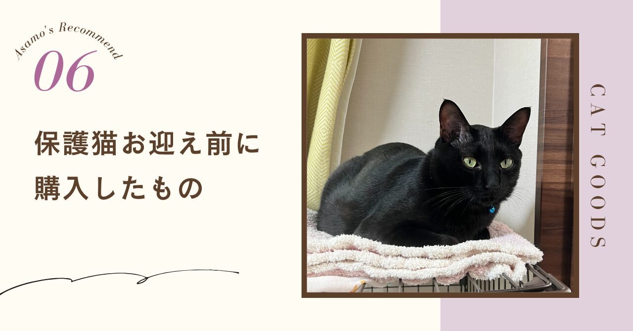 保護猫お迎え前に購入したもの